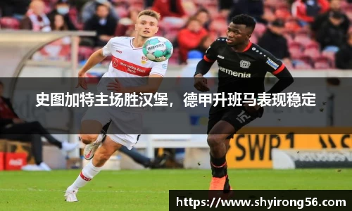 完美体育官网