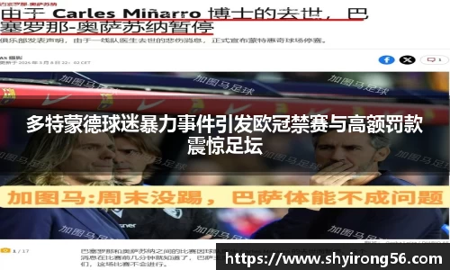 多特蒙德球迷暴力事件引发欧冠禁赛与高额罚款震惊足坛