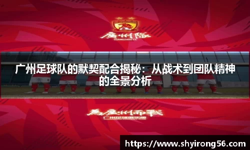 完美体育官网